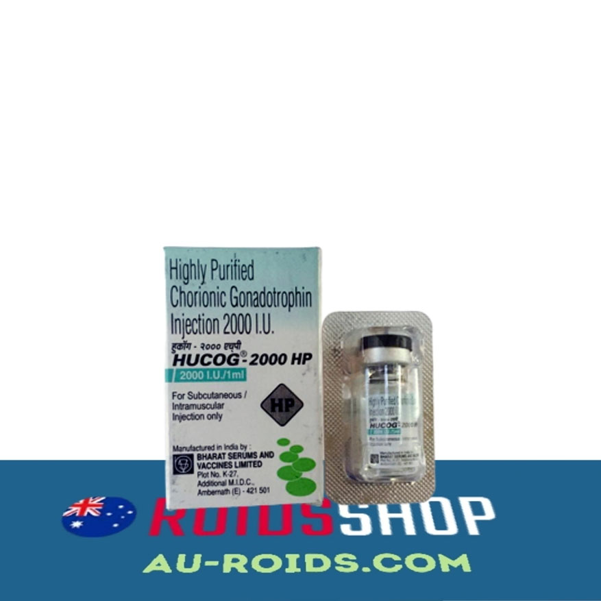 HCG 2000 UI